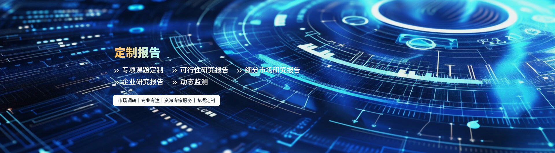 定制報告